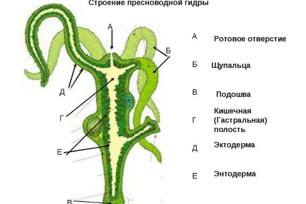 Блэк спрут маркетплейс